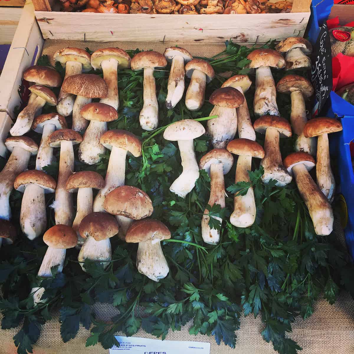 Fresh mushrooms on top of fresh parsley on a market stand