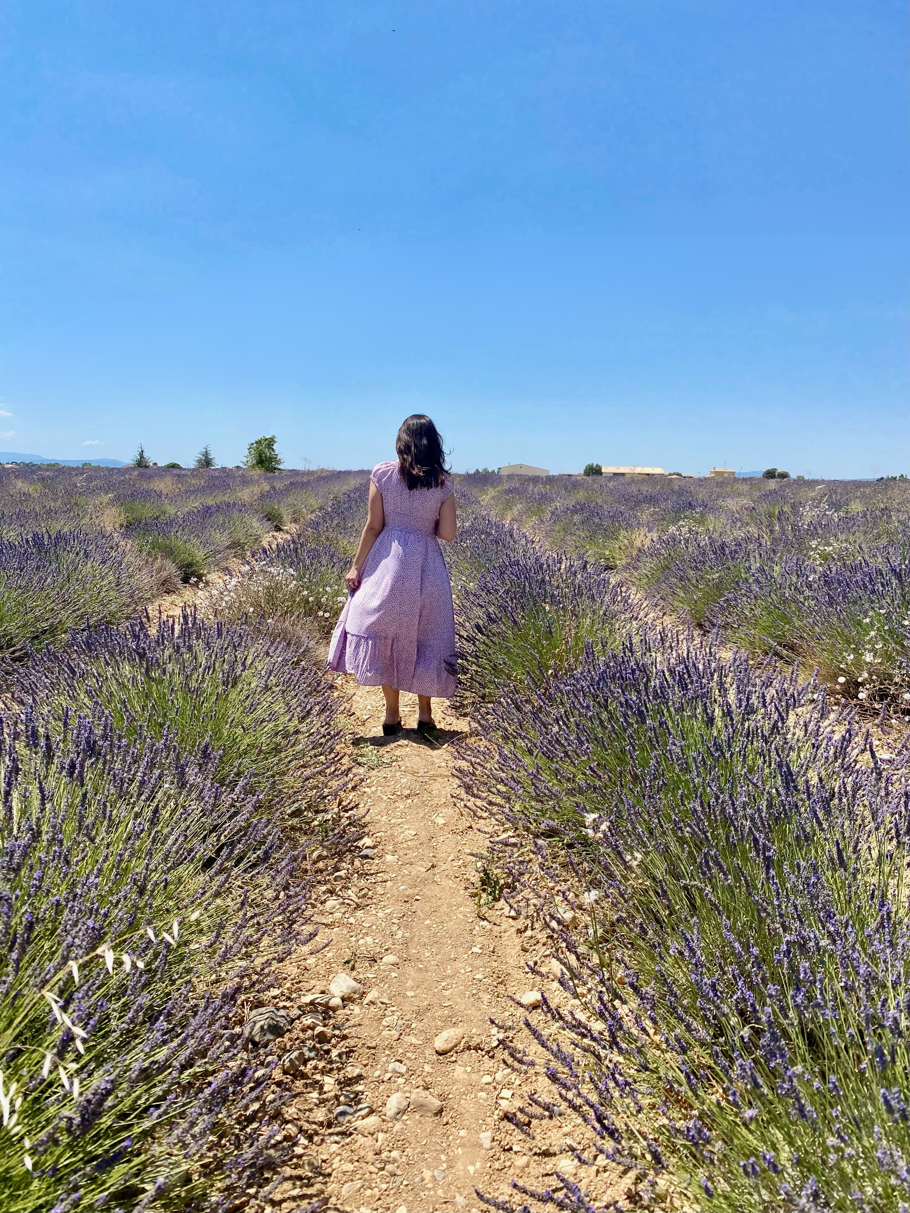 woman wearing a purple dress while walking through a lavender field 