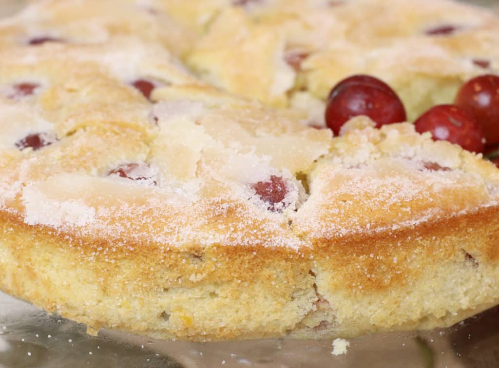 Close up of grape cake zoomed in on outside crust