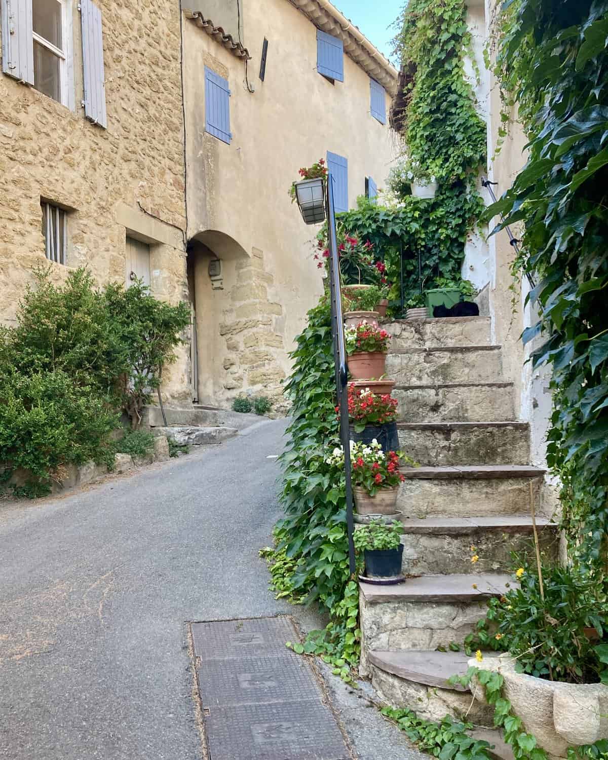 Steps to a Provencal home lined with potted terracotta pots with flowers