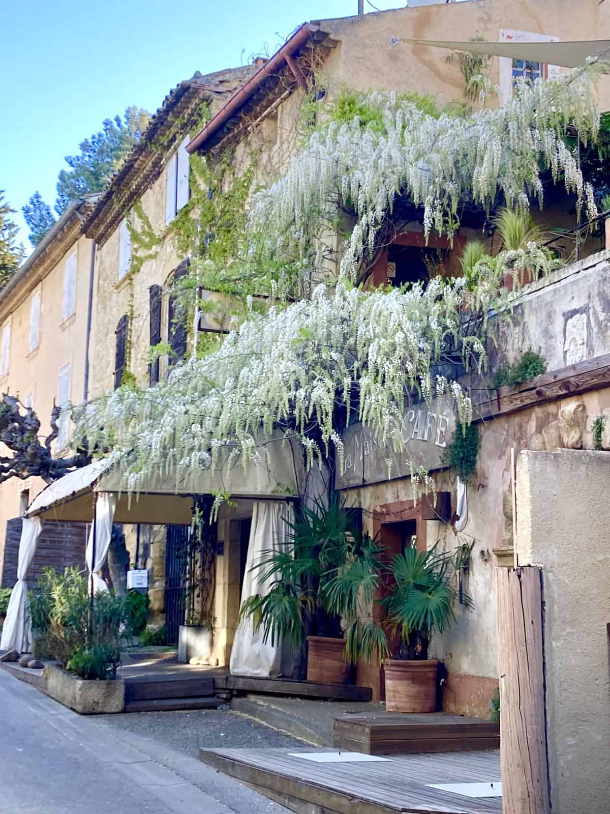 A business in Lourmarin covered with white wisteria