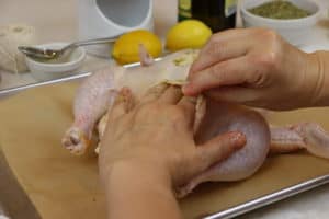 fingers rubbing chicken with olive oil and herbs rub.