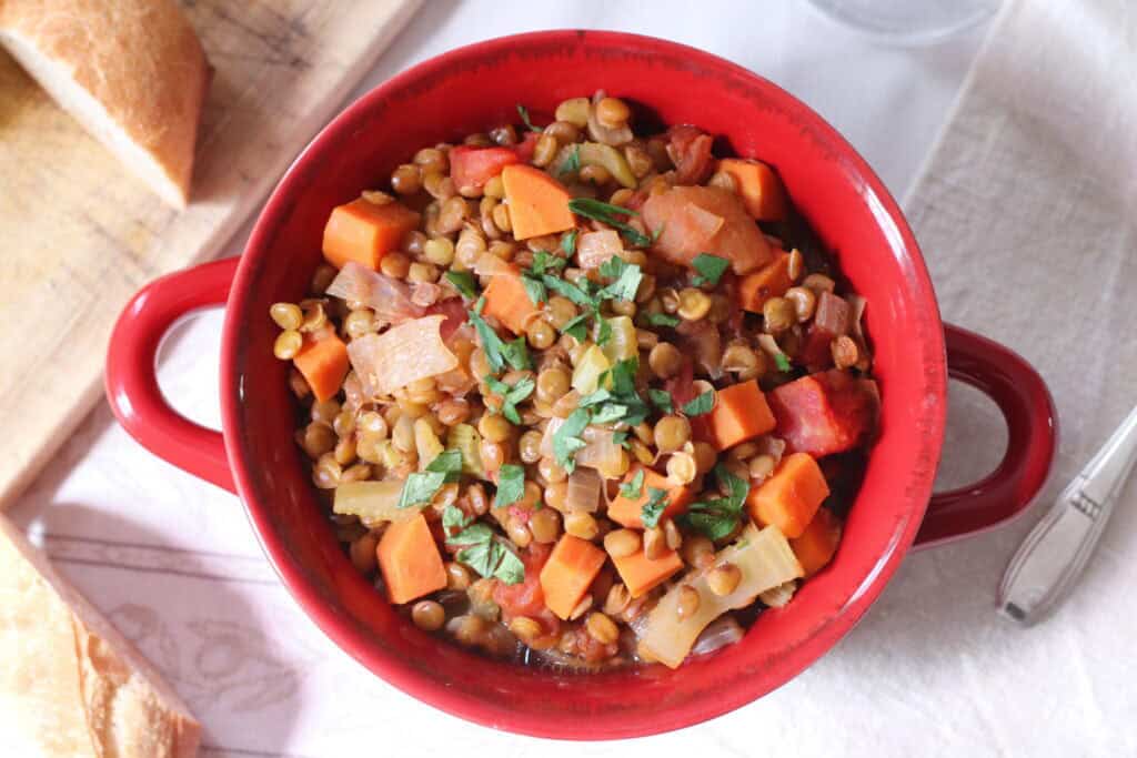 Hearty French lentil vegetable stew in a red ceramic bowl, topped with fresh herbs, showcasing traditional French cuisine with carrots, celery, and tomatoes.