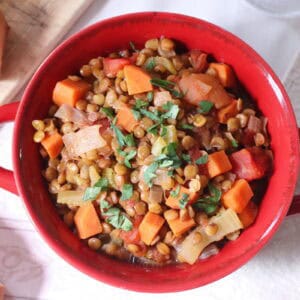 Hearty French lentil vegetable stew in a red ceramic bowl, topped with fresh herbs, showcasing traditional French cuisine with carrots, celery, and tomatoes.