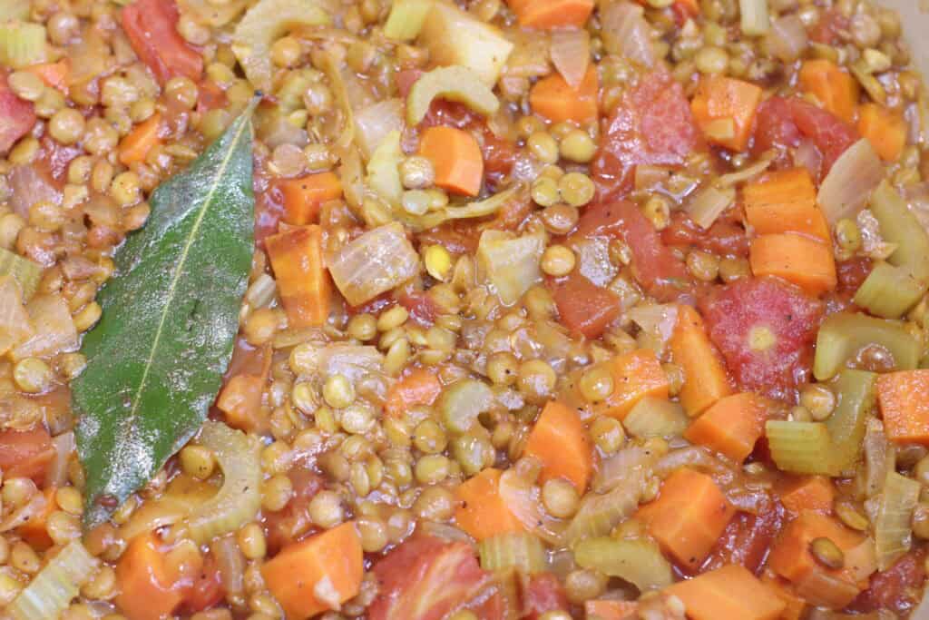 Savory lentil vegetable stew with carrots, tomatoes, celery, and herbs, capturing the rustic French countryside cuisine.