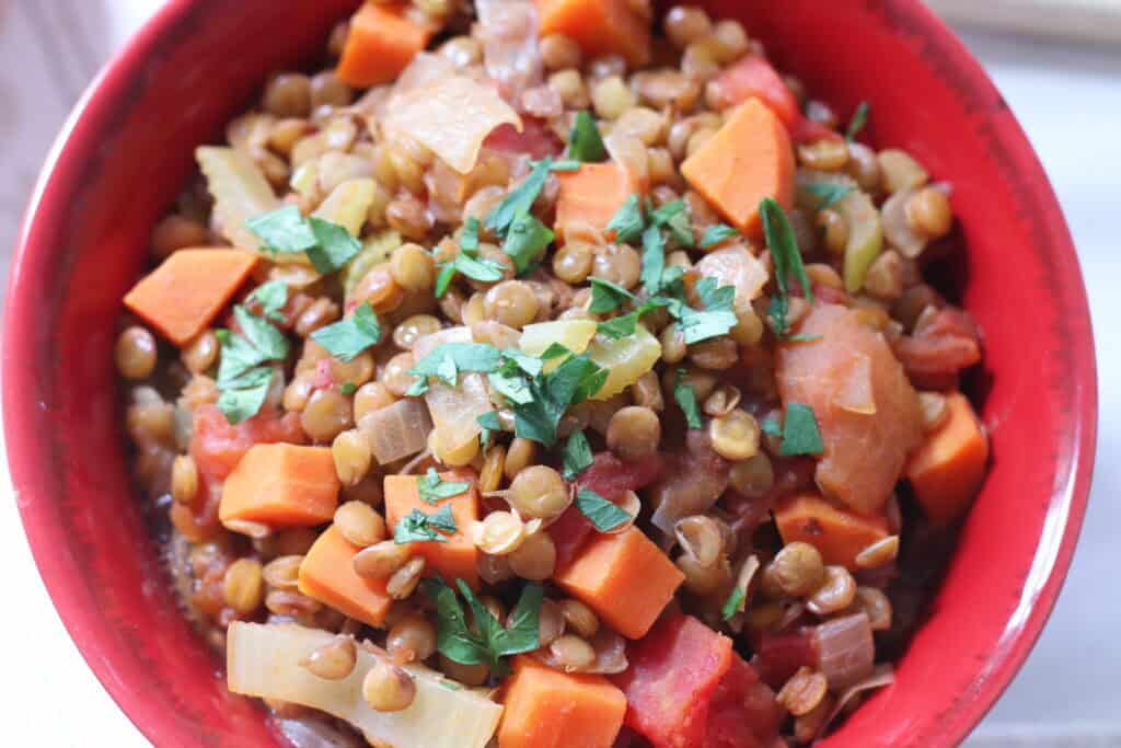 Savory lentil and vegetable stew with carrots, onions, and herbs in a red bowl, highlighting healthy and hearty French-inspired cuisine.